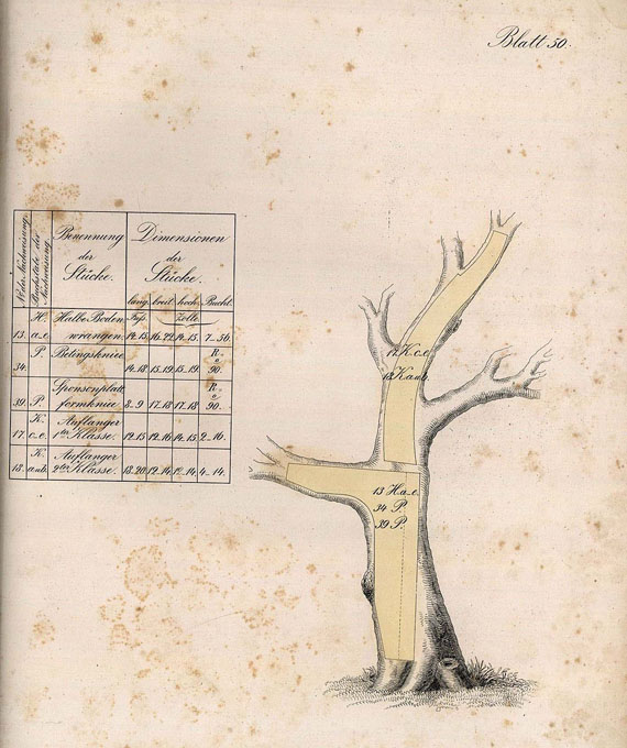  Häring - Zusammenstellung der Kennzeichen... 1853