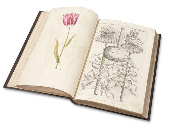 Emanuel Sweertius - Florilegium. 1612