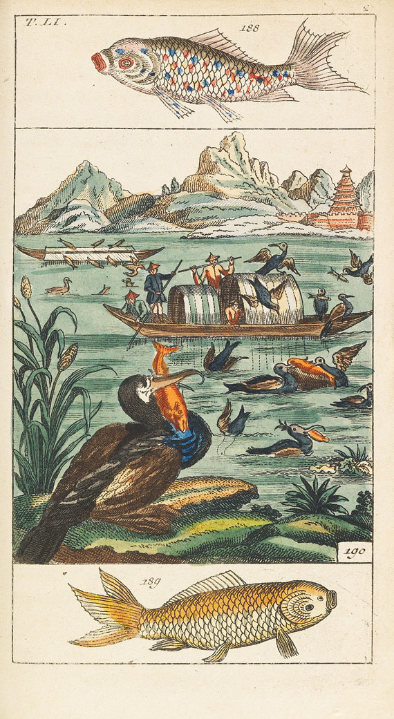 Gottlieb Tobias Wilhelm - Naturgeschichte, 1834. 27 Bde. - Weitere Abbildung