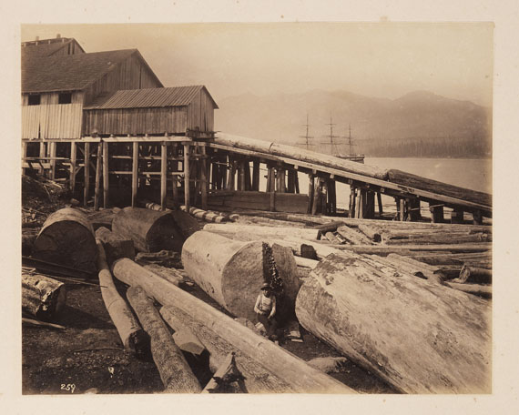  Reisefotografie - Album Amerika. Mit 81 Orig.-Fotografien. 1891. - Weitere Abbildung