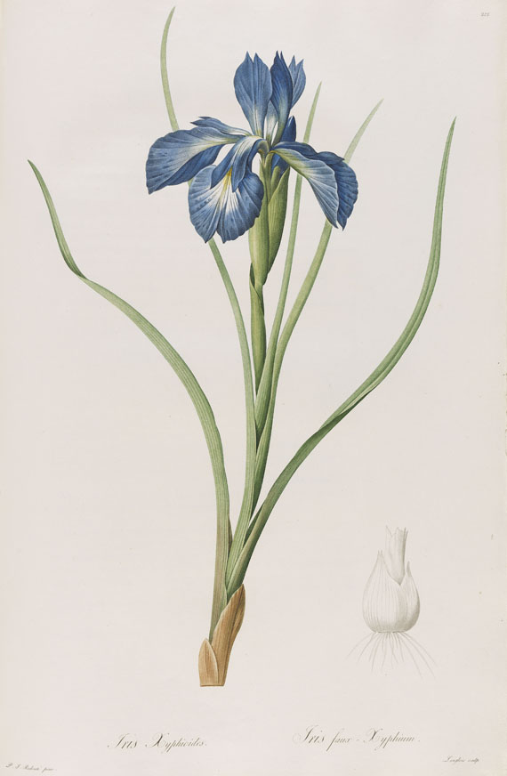 Pierre Joseph Redouté - Liliacées. 8 Bde. 1802-16.