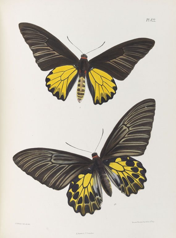 Frederic Moore - Lepidoptera Indica. 1890-1913. 10 Bde.. - Weitere Abbildung