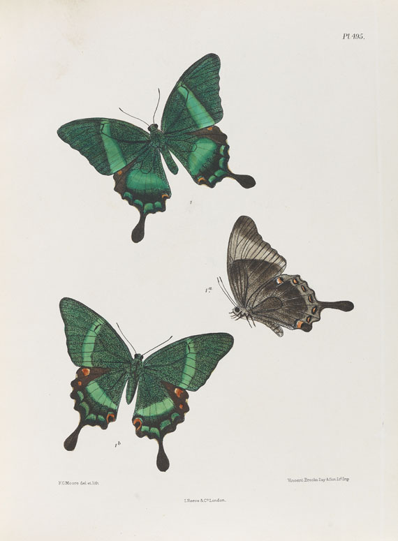 Frederic Moore - Lepidoptera Indica. 1890-1913. 10 Bde.. - Weitere Abbildung