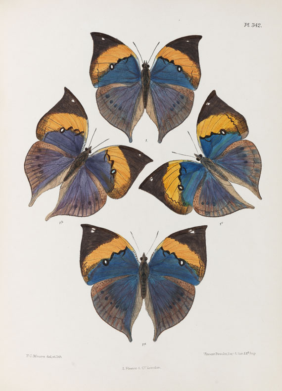 Frederic Moore - Lepidoptera Indica. 1890-1913. 10 Bde..