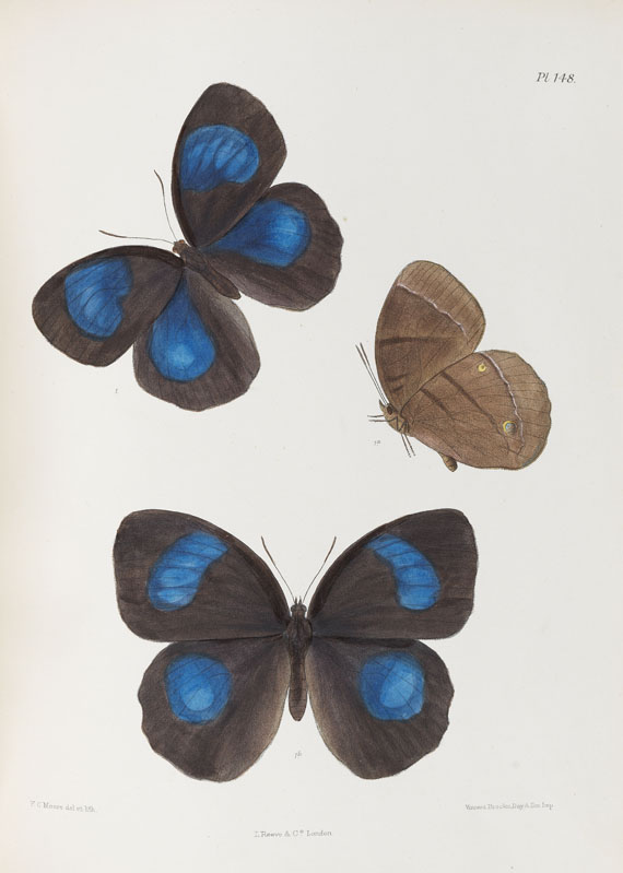 Frederic Moore - Lepidoptera Indica. 1890-1913. 10 Bde.. - Weitere Abbildung