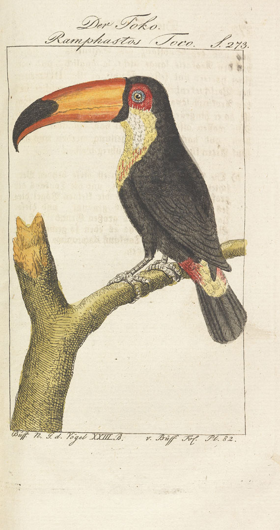 Georges Louis Leclerc de Buffon - Werke. 18 Bde. 1772. - Weitere Abbildung