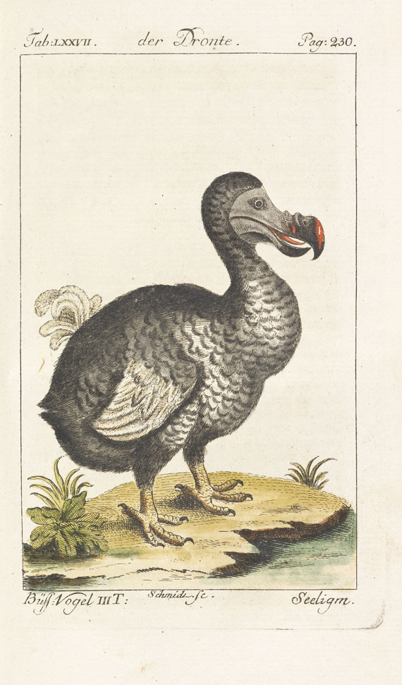 Georges Louis Leclerc de Buffon - Werke. 18 Bde. 1772. - Weitere Abbildung