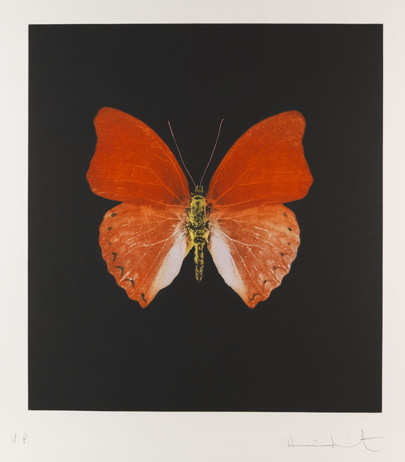 Damien Hirst - Butterfly