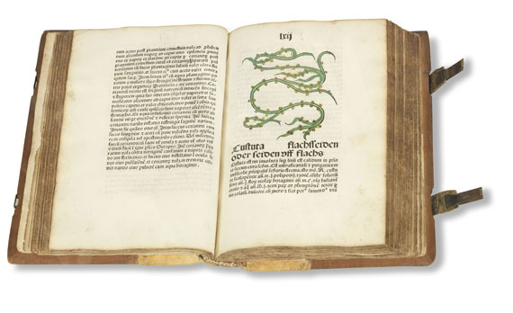   - Herbarius Patavie. 1485. - Weitere Abbildung