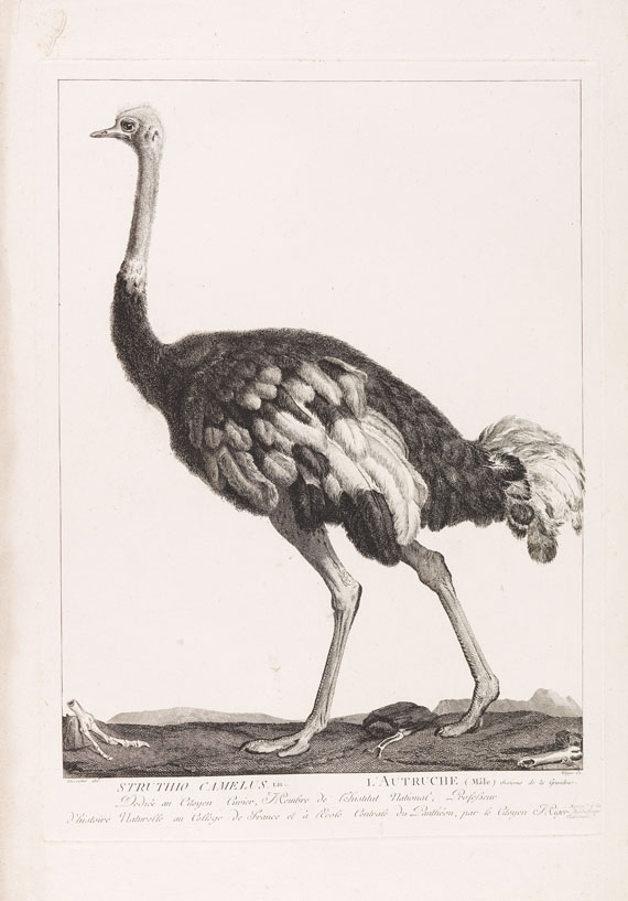 B. G. E. de Lacépède - La ménagerie du Museum National d`Histoire Naturelle. 1800-1801.