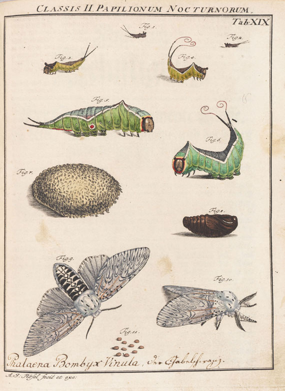 August Johann Rösel von Rosenhof - Insecten-Belustigung. 5 Bde.