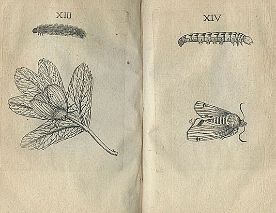 Insekten - Insekten. 11 Bde.