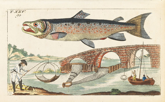 Gottlieb Tobias Wilhelm - Naturgeschichte, 27 Bde. - Weitere Abbildung
