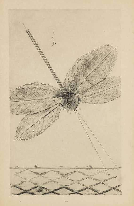 Max Ernst - Histoire naturelle