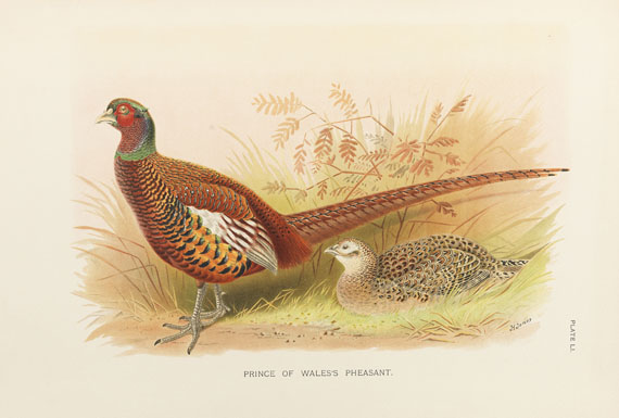 William Beebe - A monograph of the pheasants. 4 Bde.