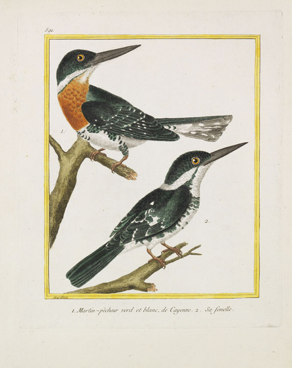 Georges Louis Leclerc Buffon - Histoire naturelle des oiseaux. 3 Kassetten