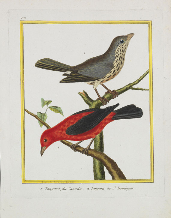 Georges Louis Leclerc Buffon - Histoire naturelle des oiseaux. 3 Kassetten