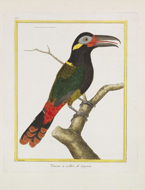 Georges Louis Leclerc Buffon - Histoire naturelle des oiseaux. 3 Kassetten - Weitere Abbildung