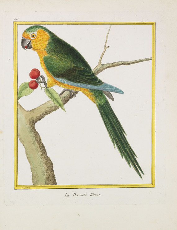 Georges Louis Leclerc Buffon - Histoire naturelle des oiseaux. 3 Kassetten