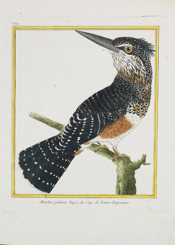 Georges Louis Leclerc Buffon - Histoire naturelle des oiseaux. 3 Kassetten