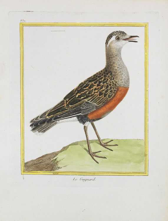 Georges Louis Leclerc Buffon - Histoire naturelle des oiseaux. 3 Kassetten - Weitere Abbildung