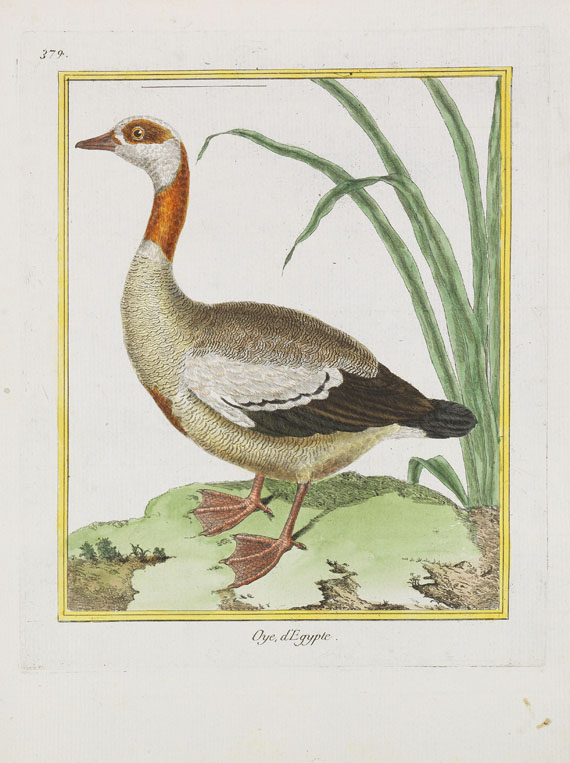 Georges Louis Leclerc Buffon - Histoire naturelle des oiseaux. 3 Kassetten - Weitere Abbildung