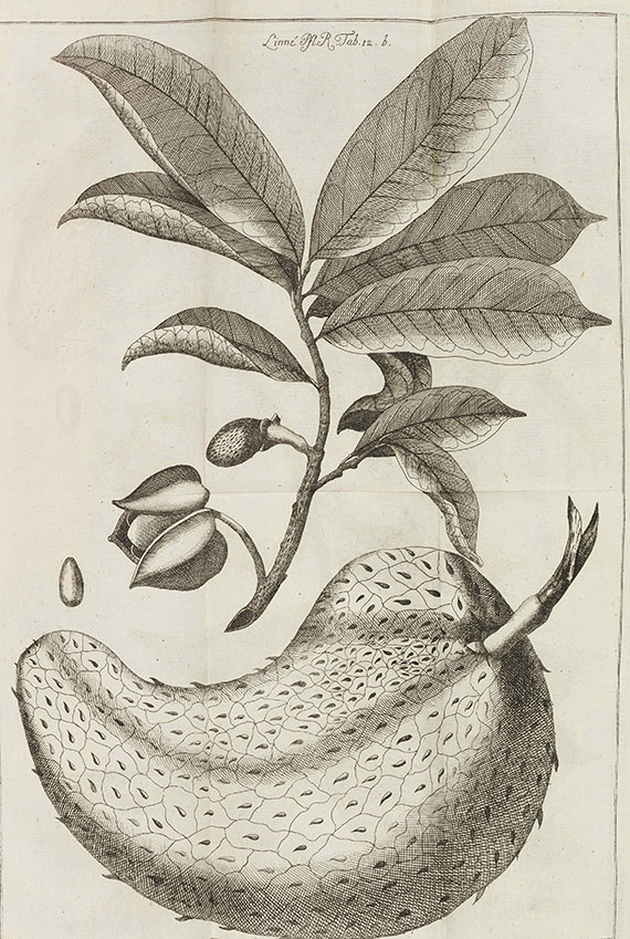 Carl von Linné - Vollständiges Pflanzensystem 15 Bände - Vollständiges Natursystem 9 Bände