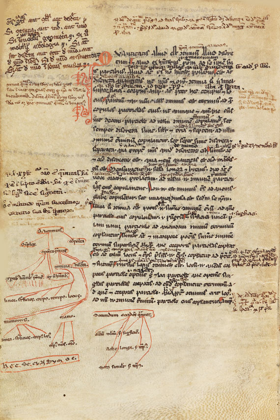  Aristoteles - Logica vetus, Pergamenthandschrift - Weitere Abbildung