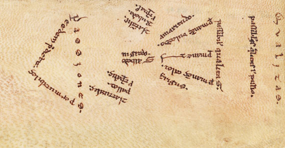  Aristoteles - Logica vetus, Pergamenthandschrift - Weitere Abbildung