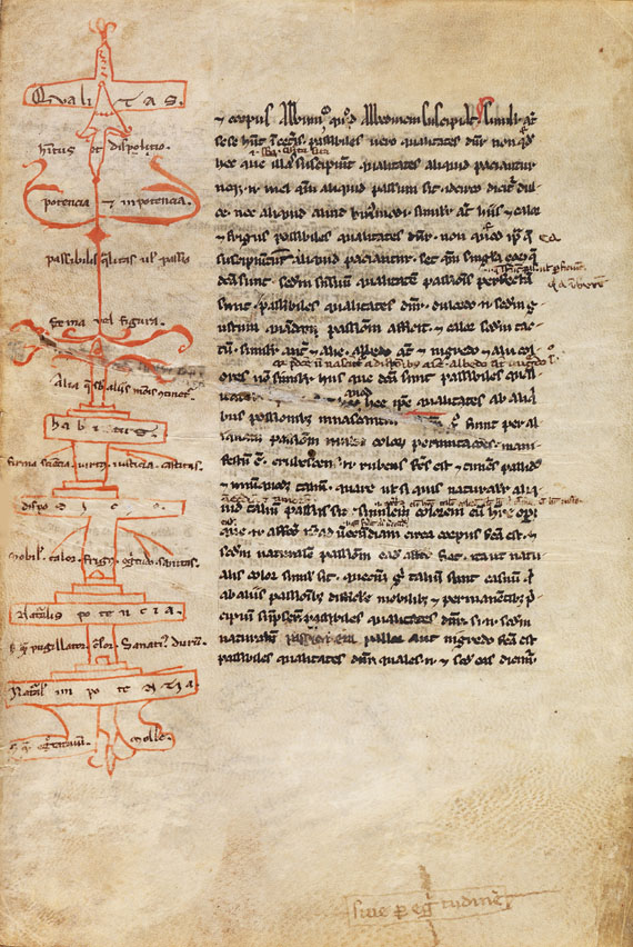  Aristoteles - Logica vetus, Pergamenthandschrift - Weitere Abbildung