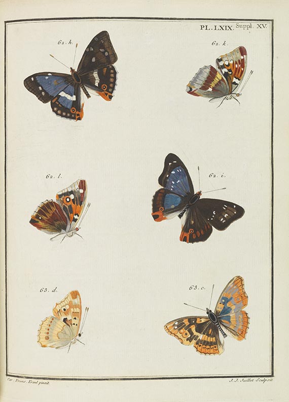 Jacques Louis Florentin Engramelle - Papillons d'Europe - Weitere Abbildung