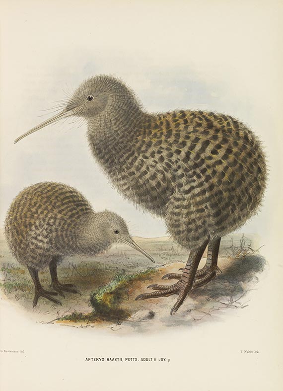 George Dawson Rowley - Ornithological Miscellany. 3 Bände