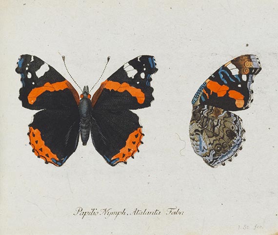 Georg Wolfgang Franz Panzer - Faunae insectorum Germanicae Initia. 190 Hefte und Index in 51 Bänden. - Weitere Abbildung