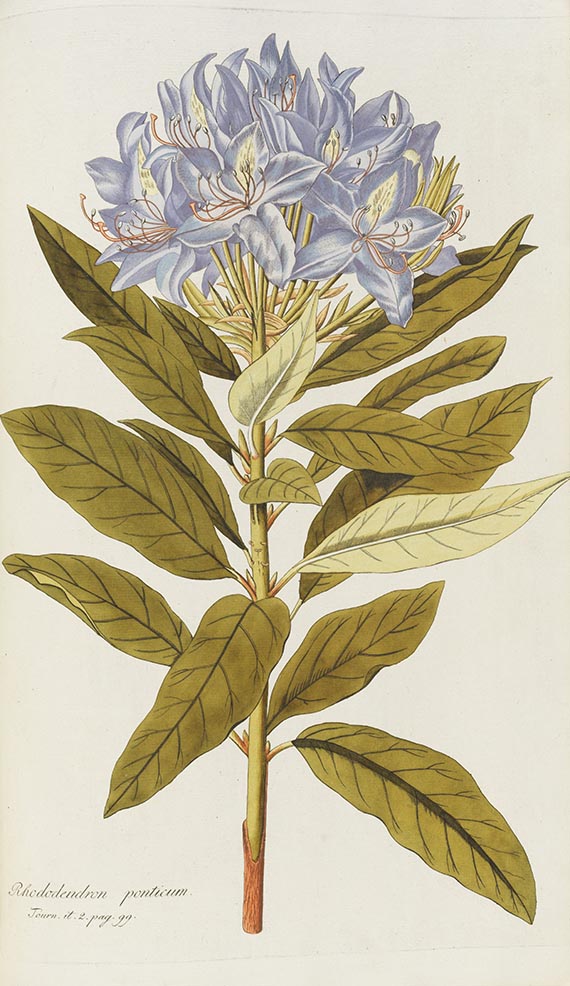 Nicolaus Joseph Jacquin - Icones plantarum rariorum