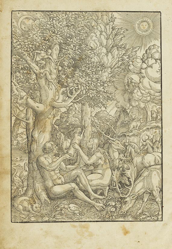  Biblia germanica inferior - Biblia germanica Inferior - Weitere Abbildung