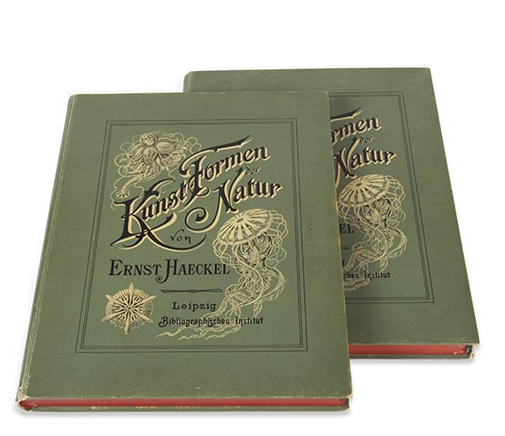 Ernst Haeckel - Kunstformen der Natur. 2 Kassetten - Weitere Abbildung