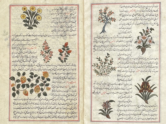  Manuskripte - Farrukh-namah Jamali. Persische Handschrift auf Papier - Weitere Abbildung