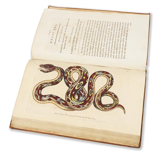 George Shaw - Vivarium naturae ... The naturalist´s miscellany - Weitere Abbildung