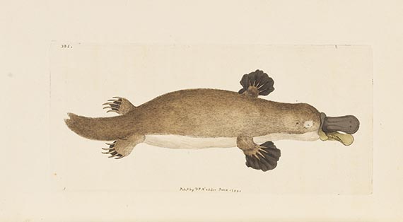 George Shaw - Vivarium naturae ... The naturalist´s miscellany - Weitere Abbildung