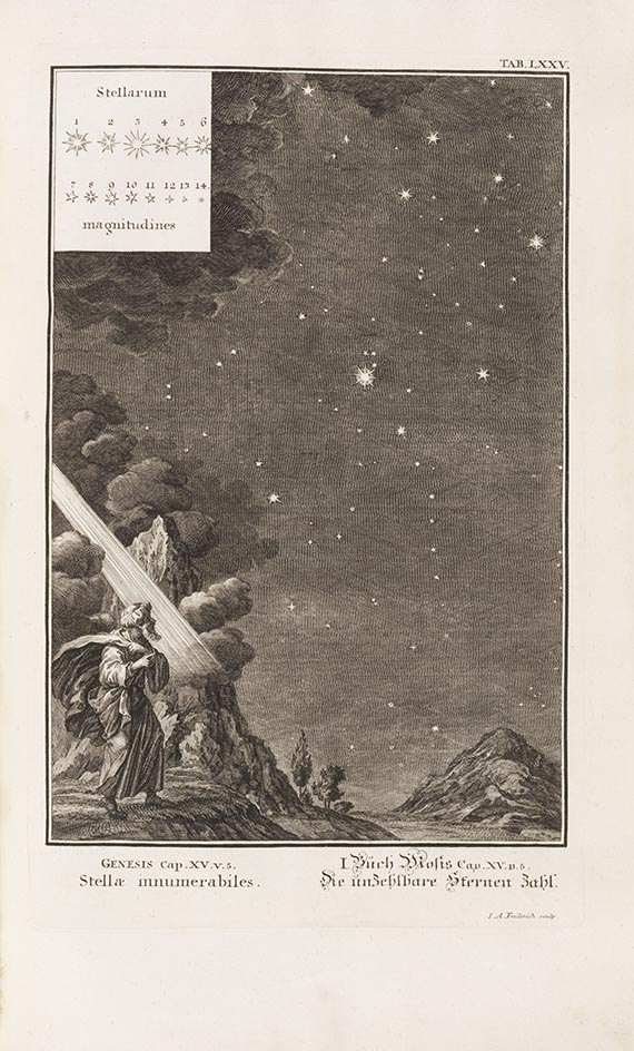 Johann Jakob Scheuchzer - Physica Sacra - Weitere Abbildung