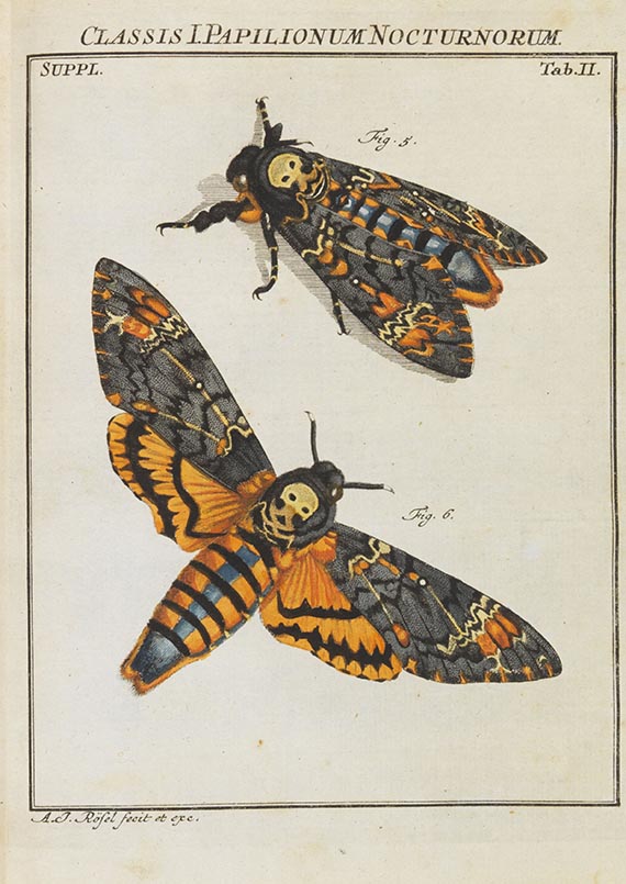 August Johann Rösel von Rosenhof - Der monatlich-herausgegebenen Insecten-Belustigung - Weitere Abbildung