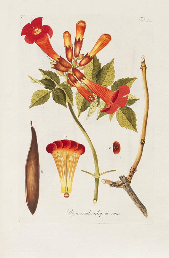 Franz Schmidt - Österreichs allgemeine Baumzucht. 3 Tle. in 1 Band