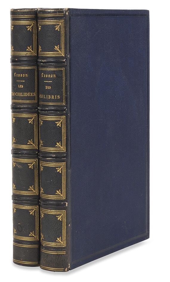 Réne Primevère Lesson - Histoire naturelle des colibris, suivie d'un supplement (&) Les trochilidées. 2 Werke - Weitere Abbildung