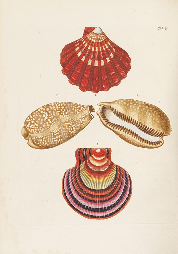 Georg Wolfgang Knorr - Verlustiging der oogen en van den geest. 6 Teile in 2 Bänden