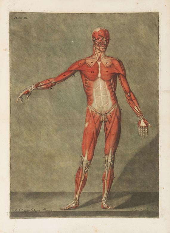 Arnauld-Eloi Gautier d'Agoty - Cours complet d'anatomie - Weitere Abbildung
