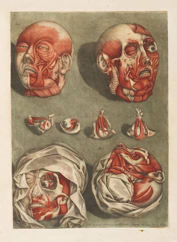 Arnauld-Eloi Gautier-Dagoty - Cours complet d’anatomie