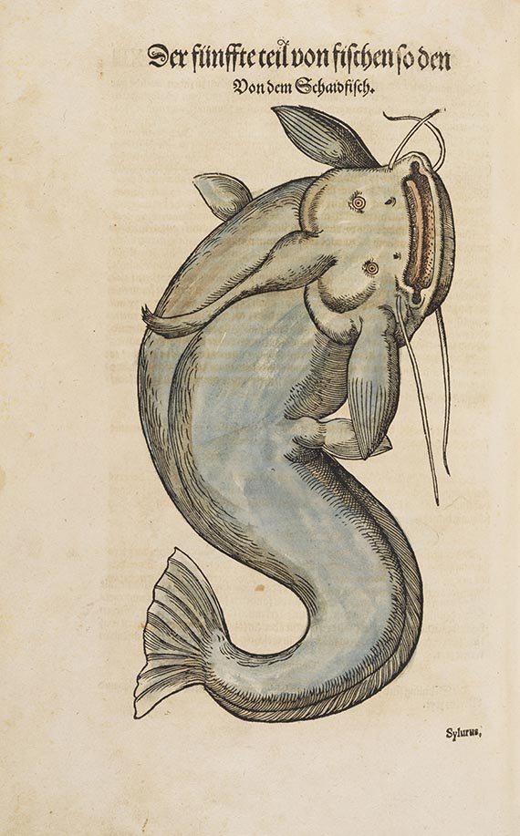 Conrad Gesner - Thierbuch - Vogelbuch - Fischbuch