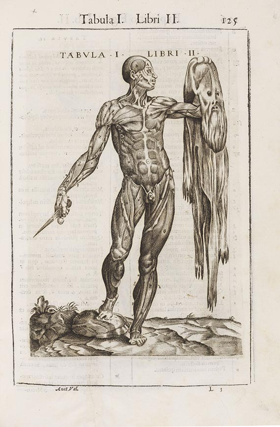 Juan de Valverde de Hamusco - Anatome corporis humani