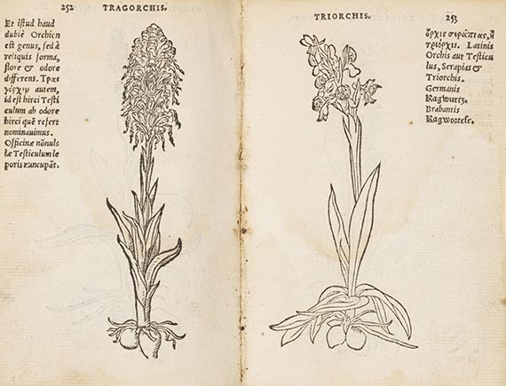 Rembertus Dodonaeus - Trium priorum de stirpium historia. Angeb.: Posterium trium