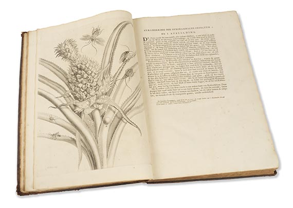 Maria Sibylla Merian - Surinaamsche Insecten (&) Europische Insecten - Weitere Abbildung